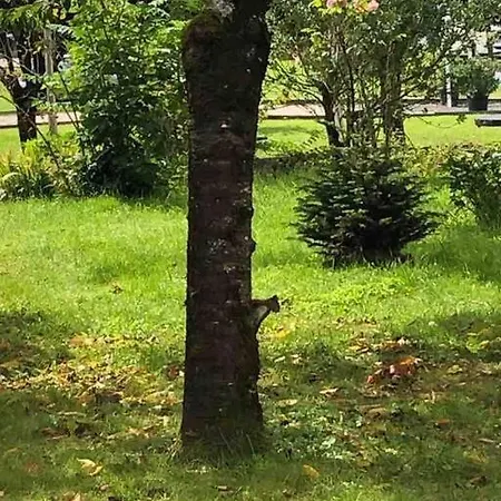 Maison Familiale 8 P En Vallee De Dordogne - Lot Tauriac (Lot)