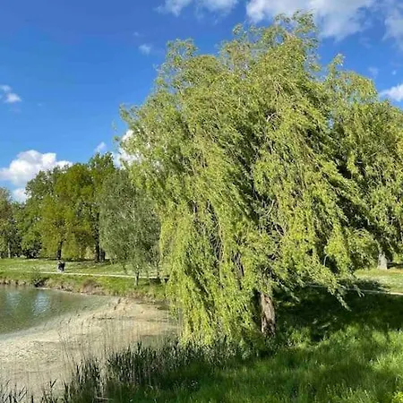 펜션 Maison Familiale 8 P En Vallee De Dordogne - Lot *