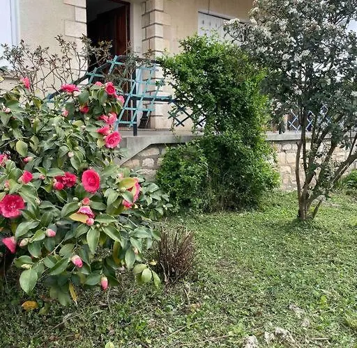 Maison Familiale 8 P En Vallee De Dordogne - Lot Tatil Evi *